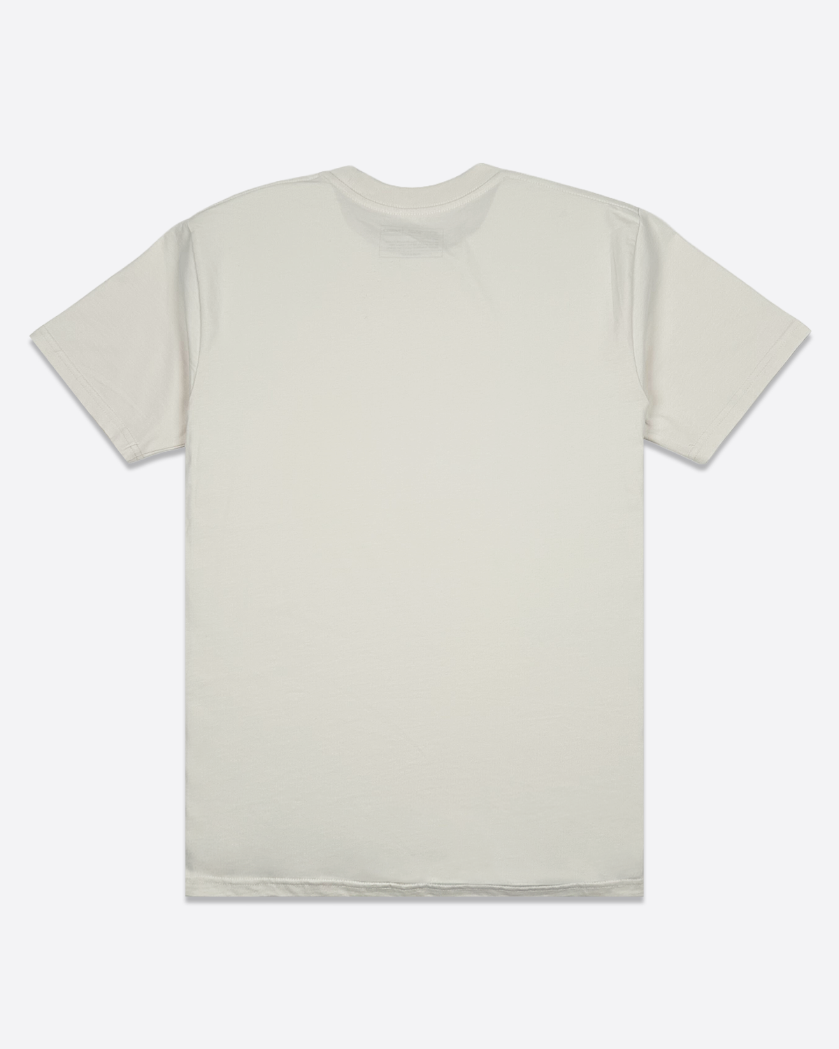 Great T-Shirt